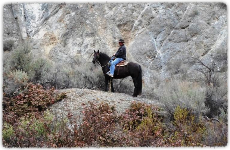 Okan Lexus under Don Curtis