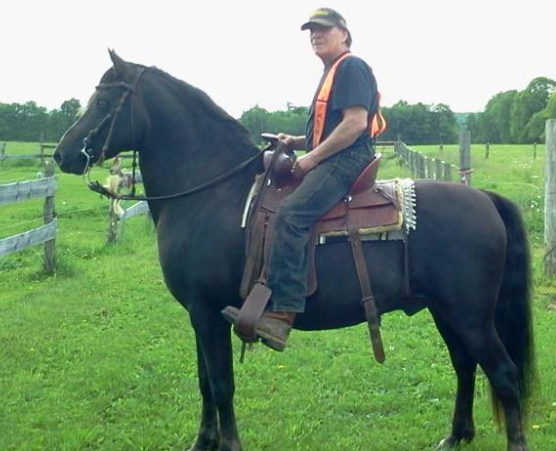 Blue Spruce Jeremiah-02