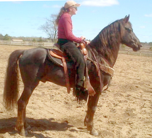 Blue Spruce Jeremiah-04