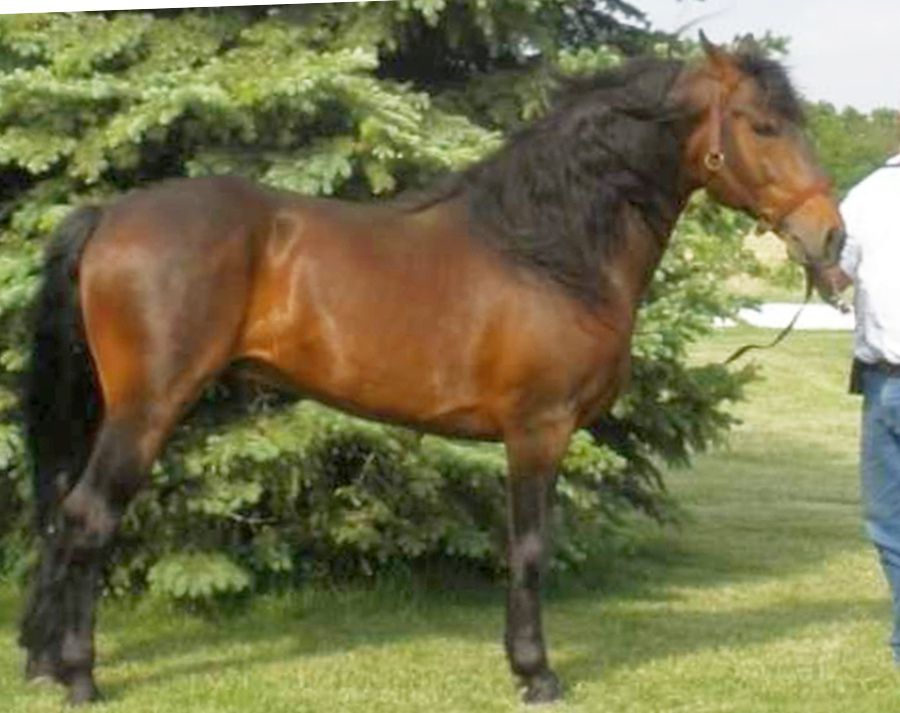 C-My Arno's Reflection-01