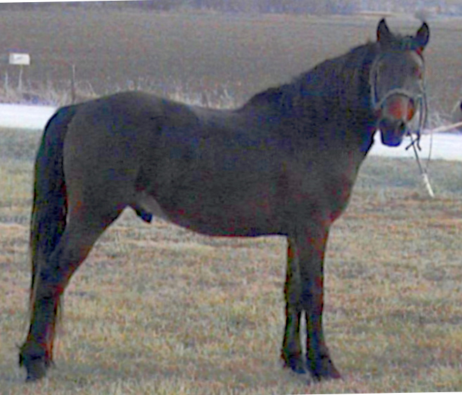 C-My Arno's Reflection-02