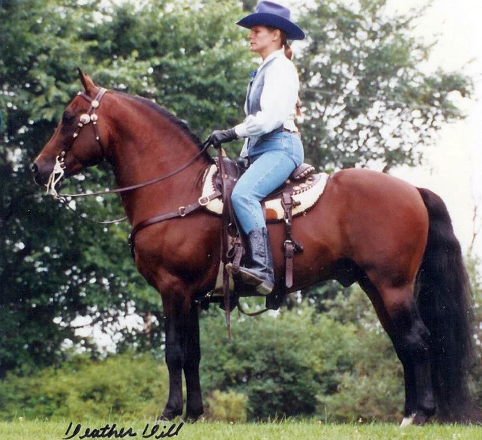 Covenant Knight Heir-01