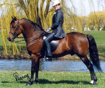 Covenant Knight Heir-02