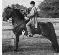 Covenant Knight Heir-03