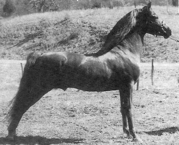 Covenant Nathan Ash-02