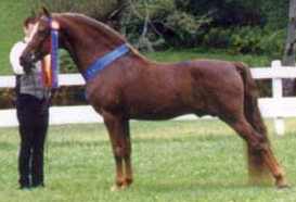 Covenant Nathan Ash-04