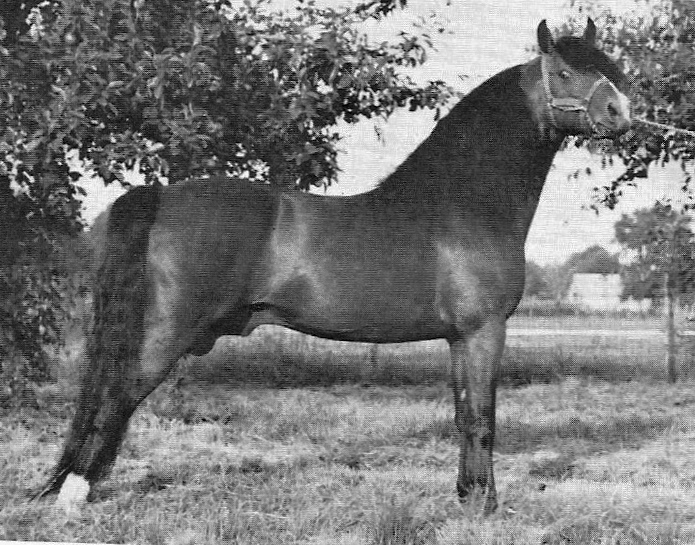 Croydon Minuteman-01