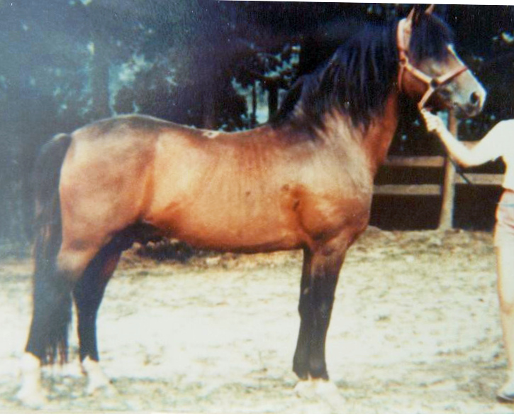 Croydon Minuteman-02