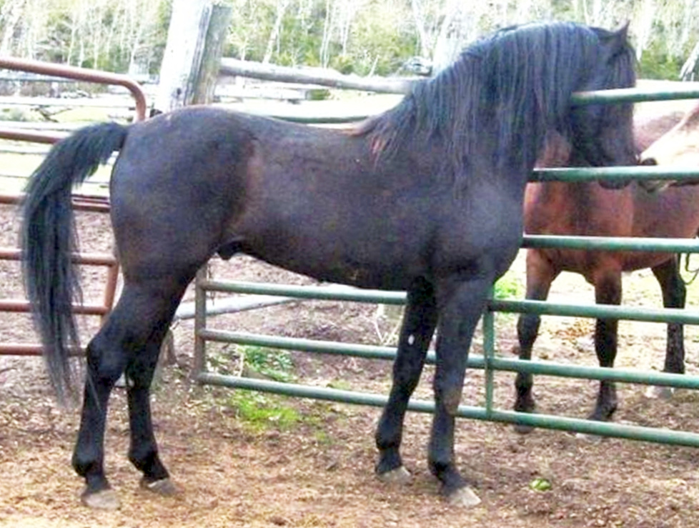 Devine Cool Hand Luke-02