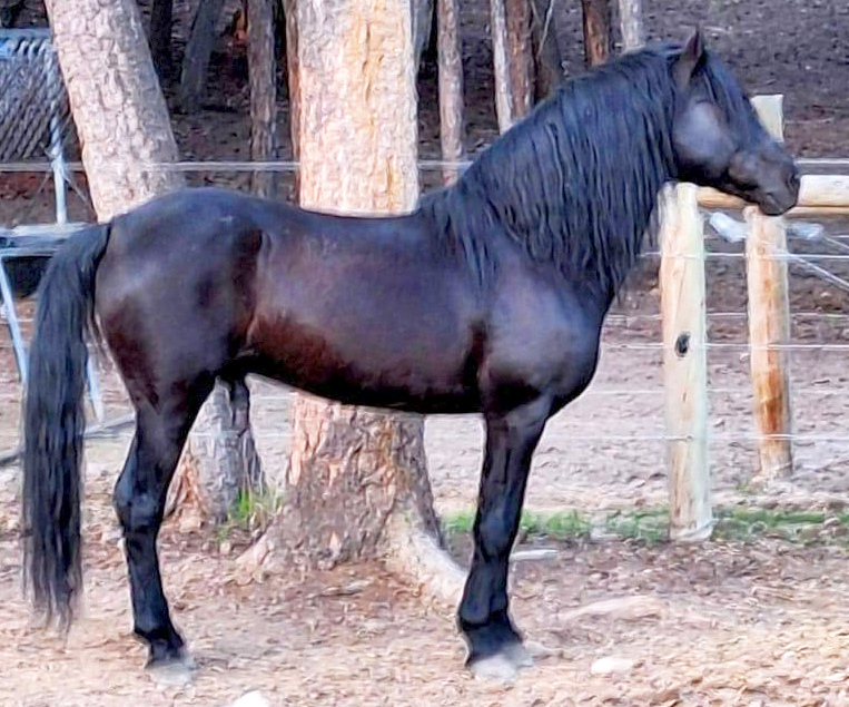 Devine Cool Hand Luke-03