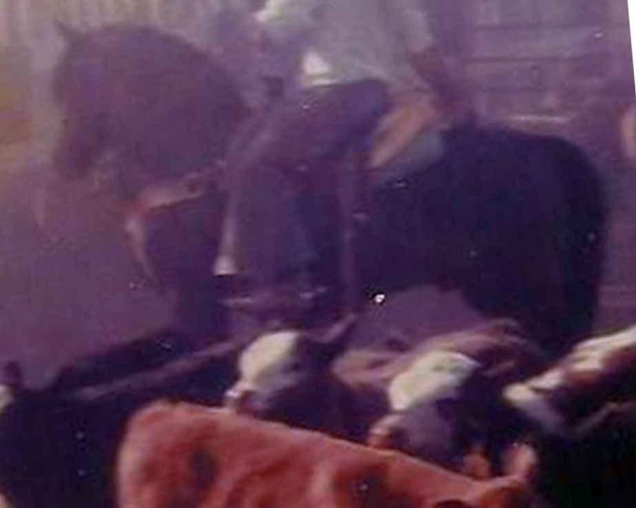 Edgewood Hallmark-01