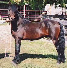 Edgewood Weatherby-01