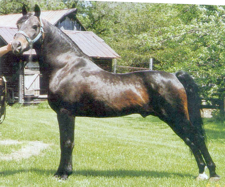 Equinox Beaubrook-01