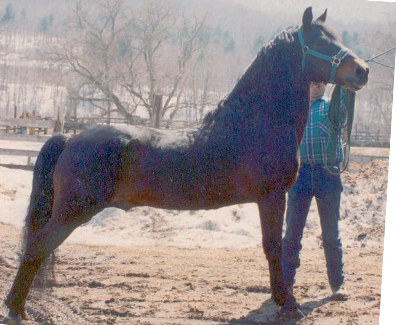 Equinox Beaubrook-03