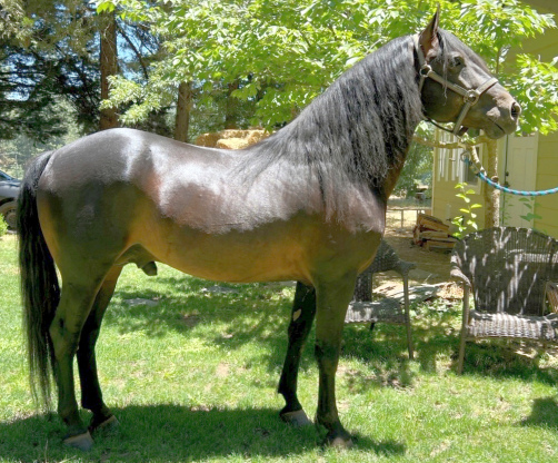 Gethsemane Marcus-02