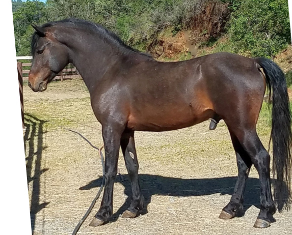 Gethsemane Marcus-04