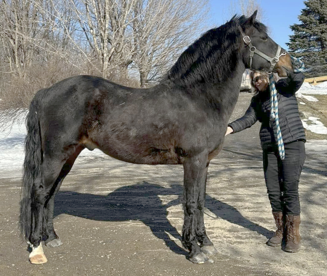 Hagerbrook Beaujangles-02