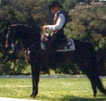 Hawk Ridge Elidon-01