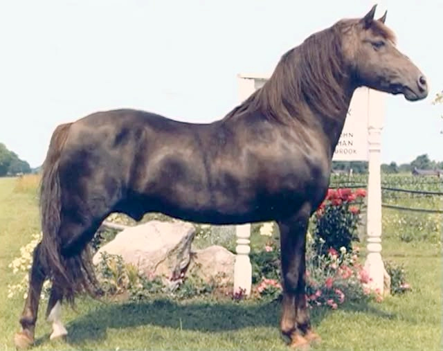 John Ethan Ashbrook-01