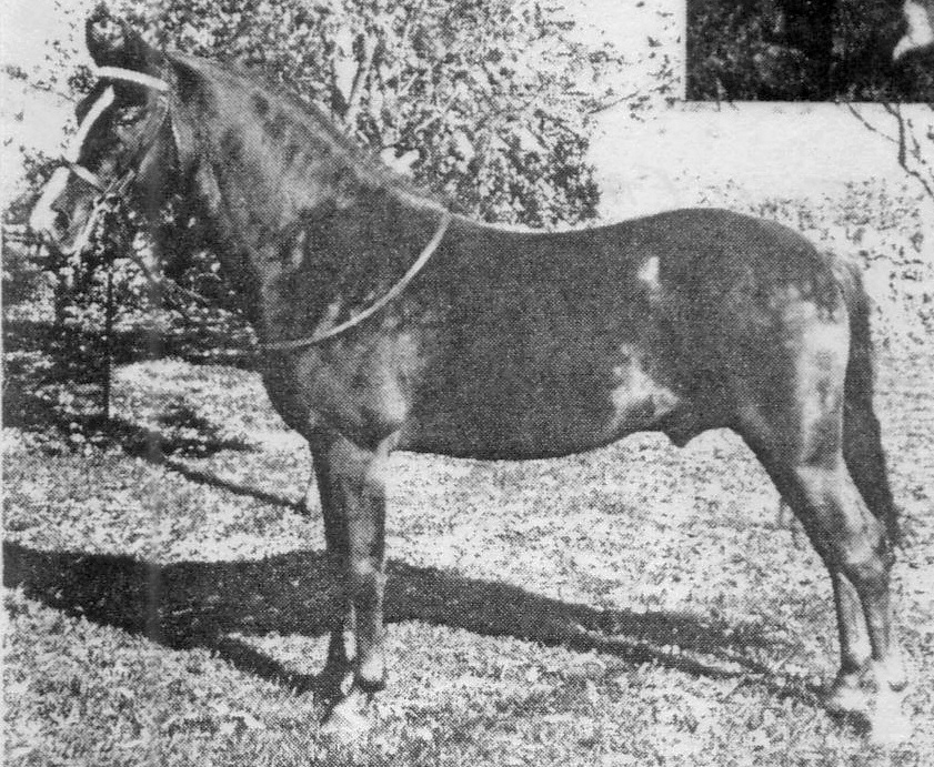 John Ethan Ashbrook-02