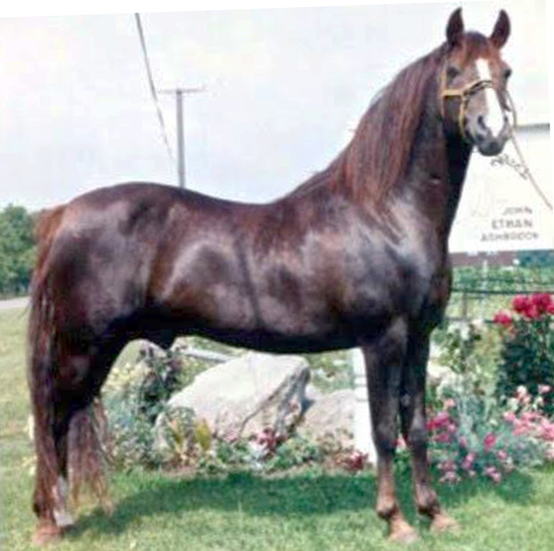 John Ethan Ashbrook-03