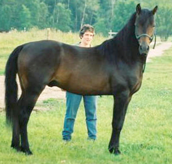 Kings Cross Marauder-02