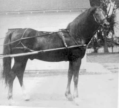 Lippitt Ethan Ash-04