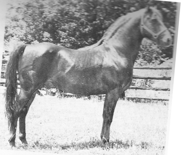 Lippitt Moro Ashmore-02