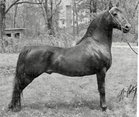 Lippitt Moro Ashmore-03