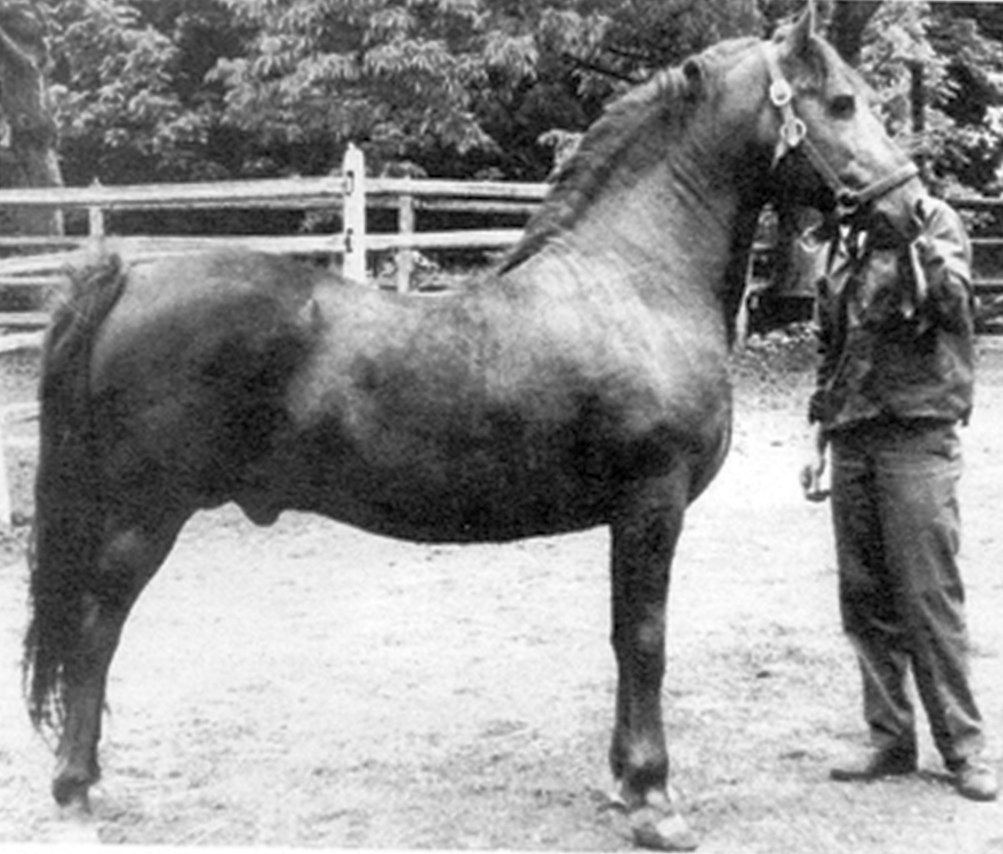 Lippitt Moro Ashmore-04