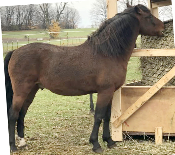 Maple Canyon Apollo-01
