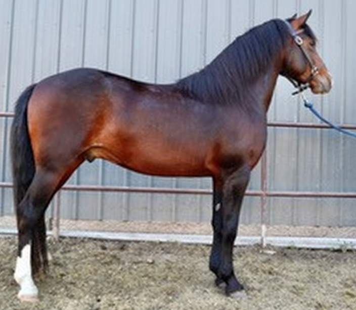 Marilyn's Show of Command-02