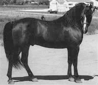 M Classic Ideal Image-01