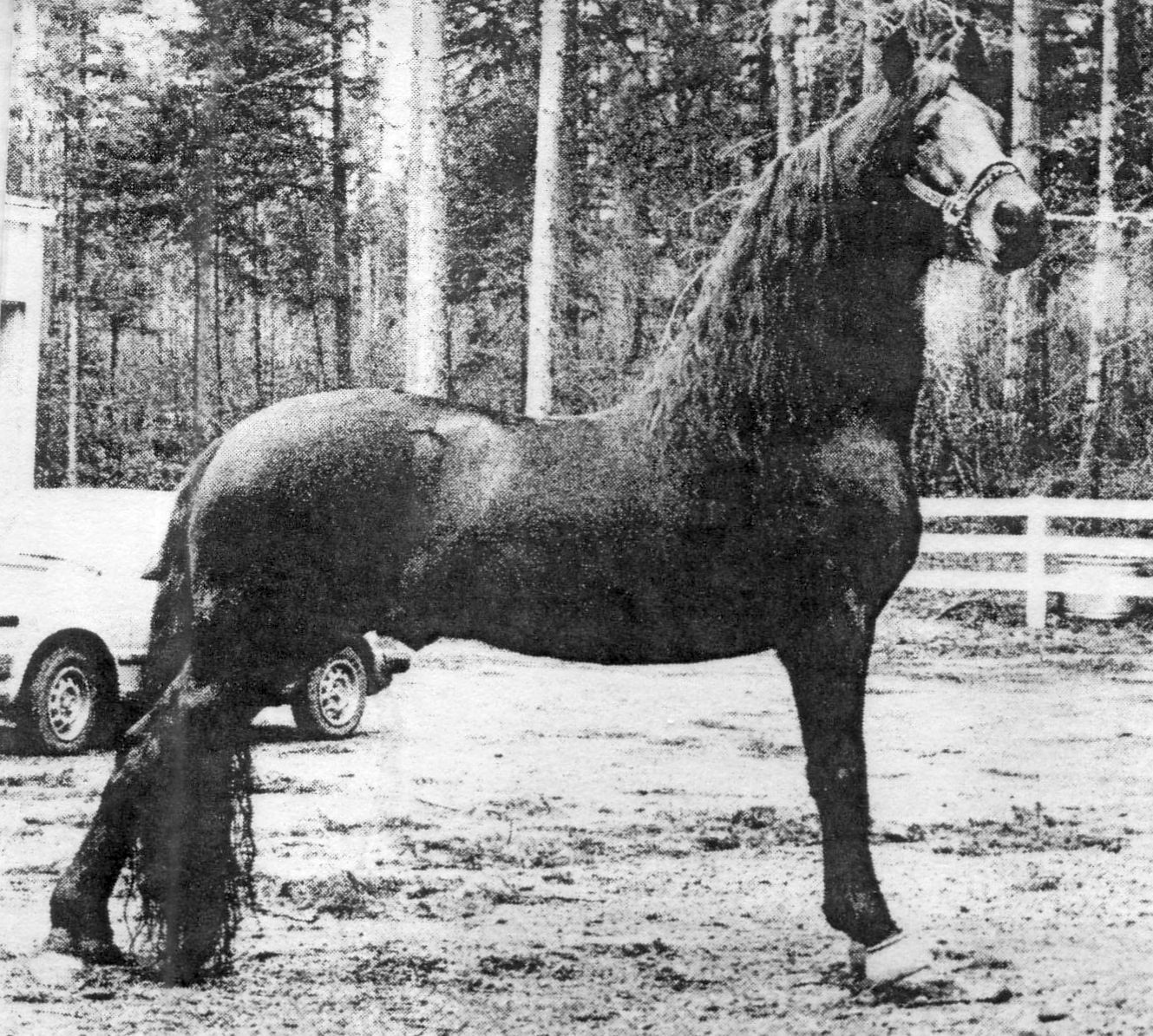 Meredith Bilirubin-01