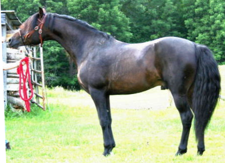 Michabou Weatherman-02