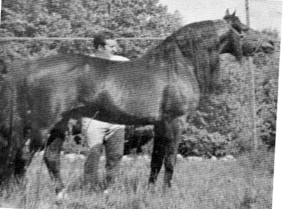 Moro Hill's Magician-02