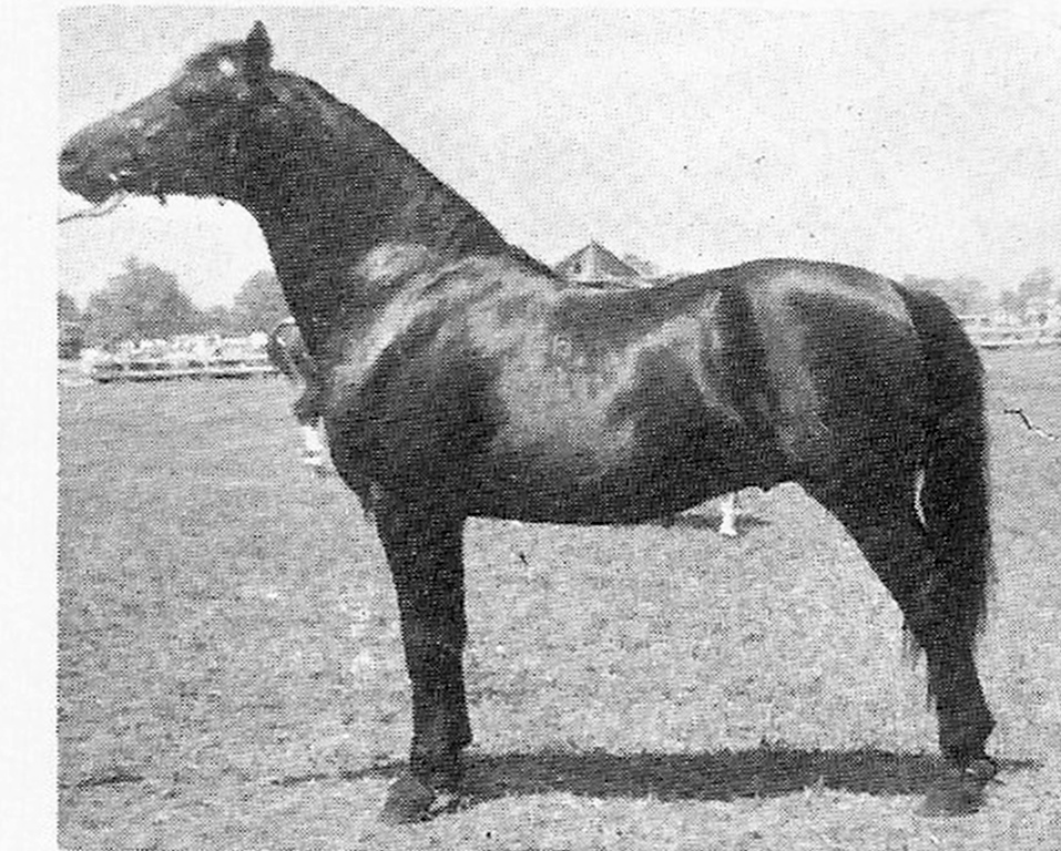 Moro Hill's Mariner-02