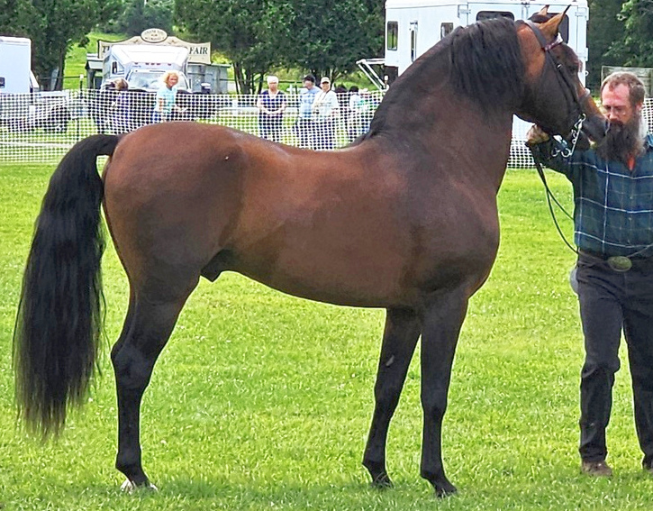 Old Vermont Recruit-03