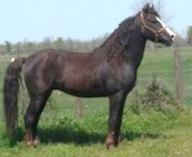 Open Road Blaze of Glory-01