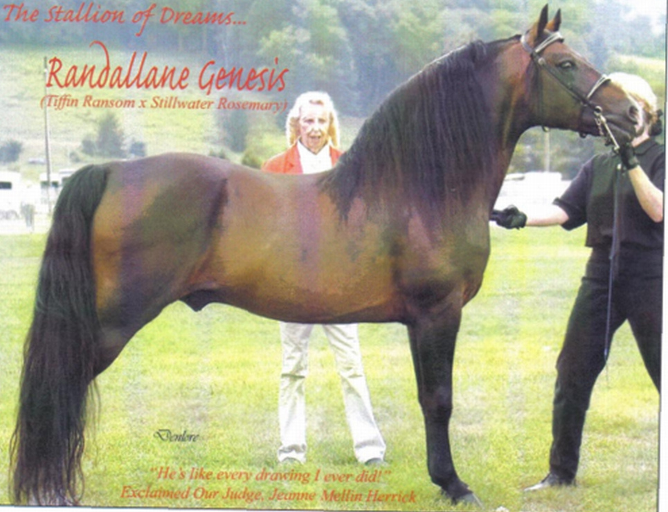 Randallane Genesis-04