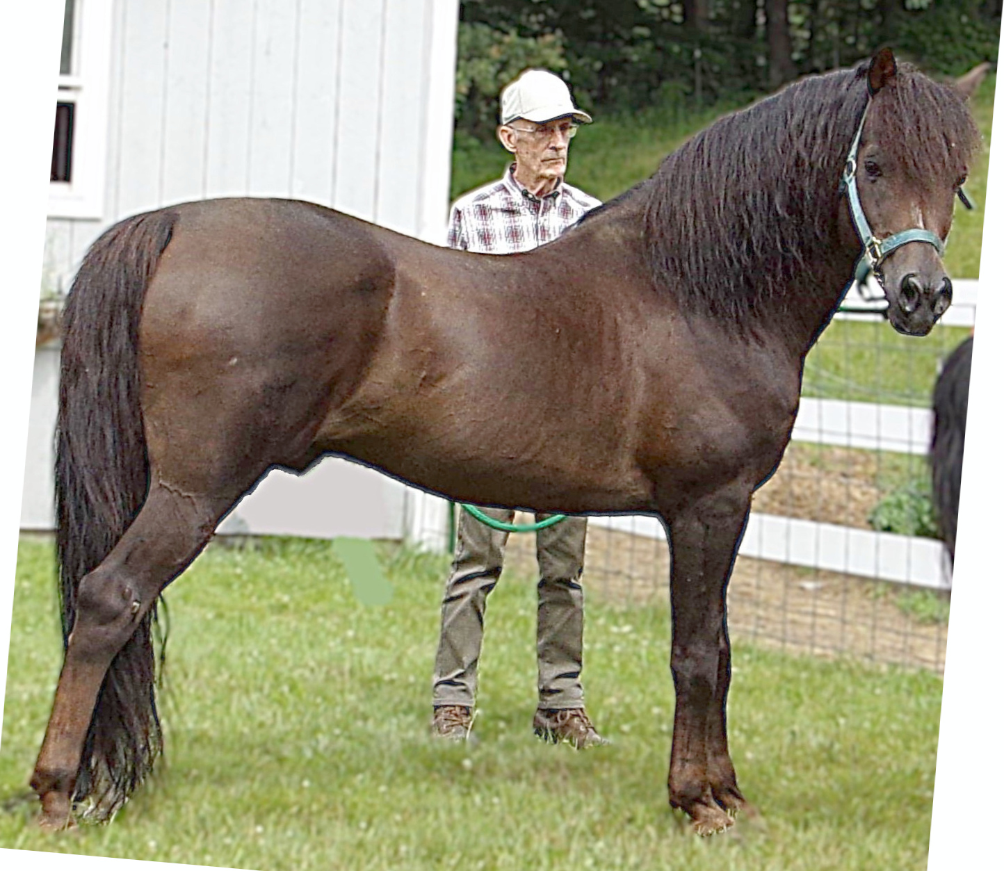 Randallane Testa Rosa-02