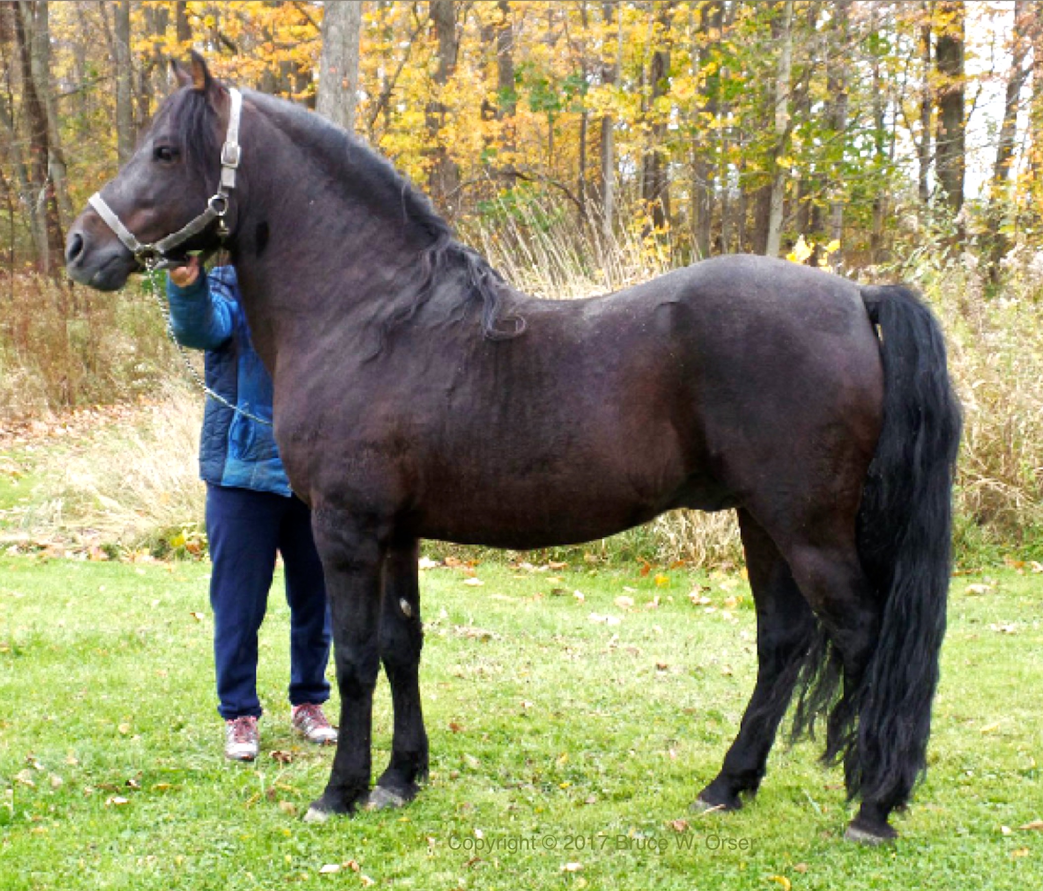 River Riders Rich-01