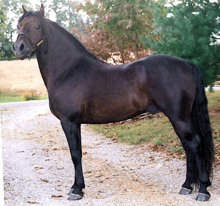 River Riders Rich-03