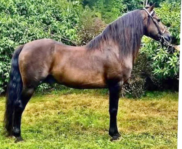 River Riders Rich-04