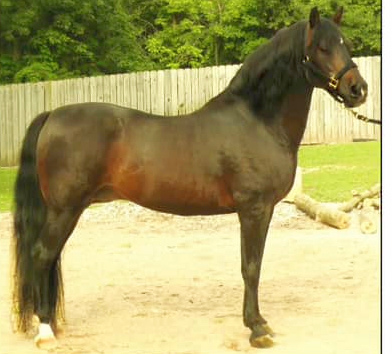 River Riders Riddler-01