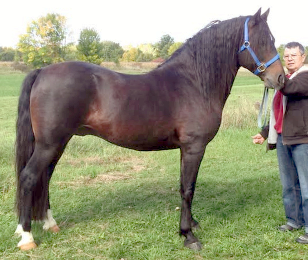 River Riders Riddler-02