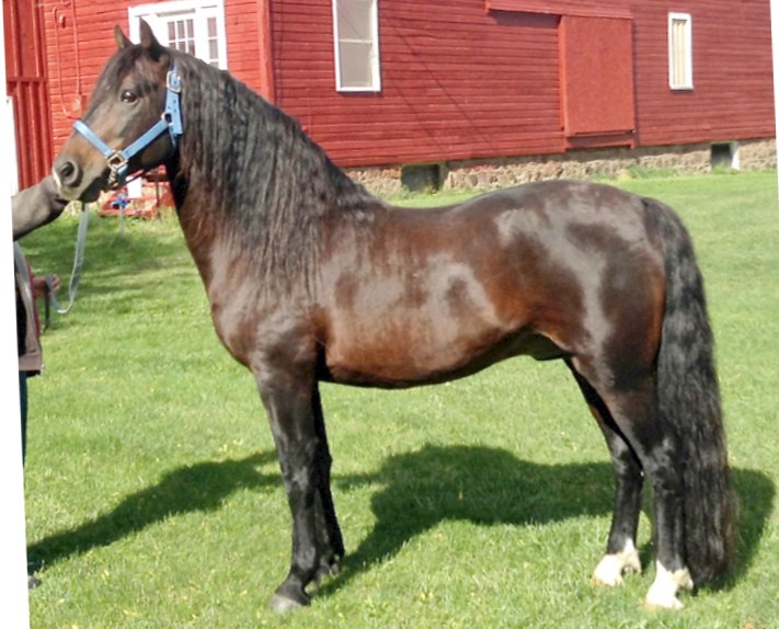 River Riders Riddler-03