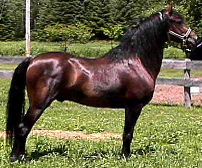 River Riders Rogue-01