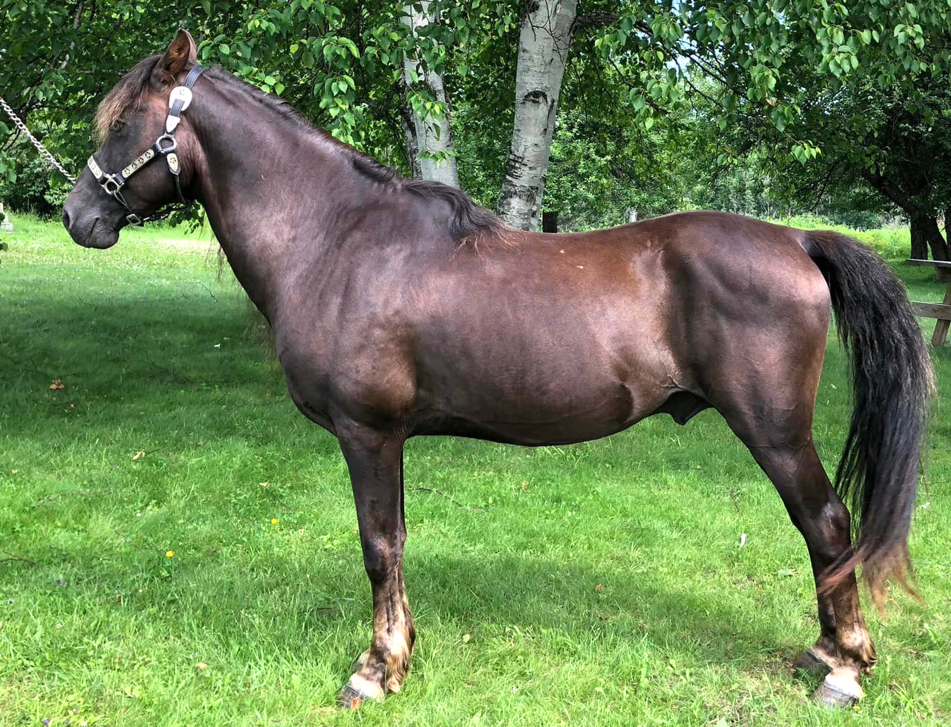 River Riders Rogue-02