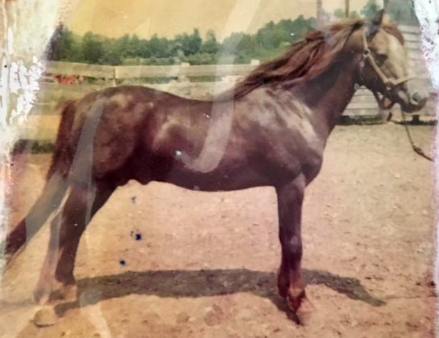 Royalton Ashbrook Darling-03